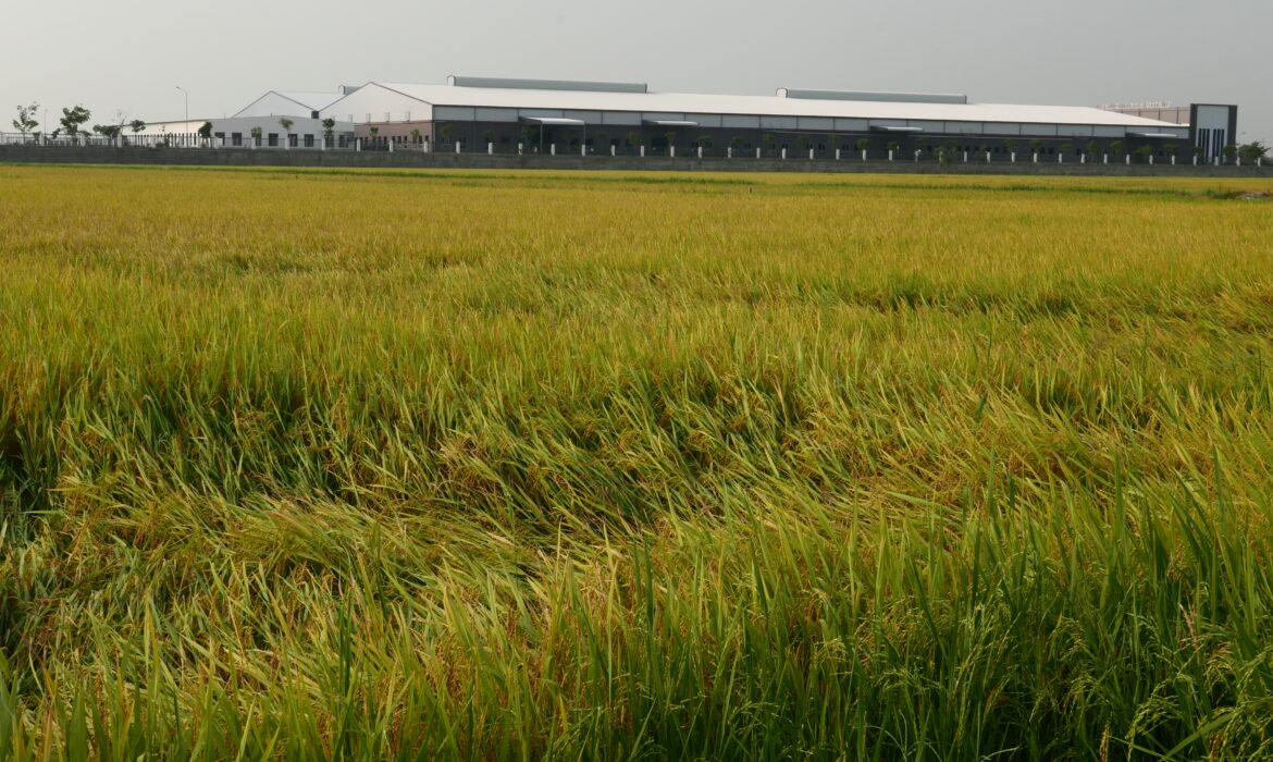 Hình ảnh này chưa có thuộc tính alt; tên tệp của nó là 1610082-1170x700.jpg