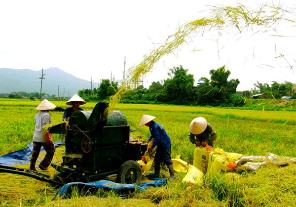 Xây dựng nông thôn mới từ nguồn vốn xã hội